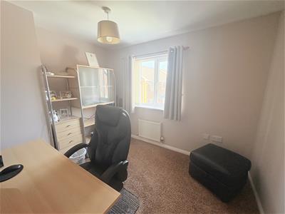 Picture 19